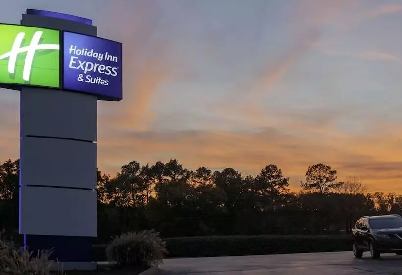 ホテル Holiday Inn Express & Suites Nashville I 40 & I 24, An Ihg