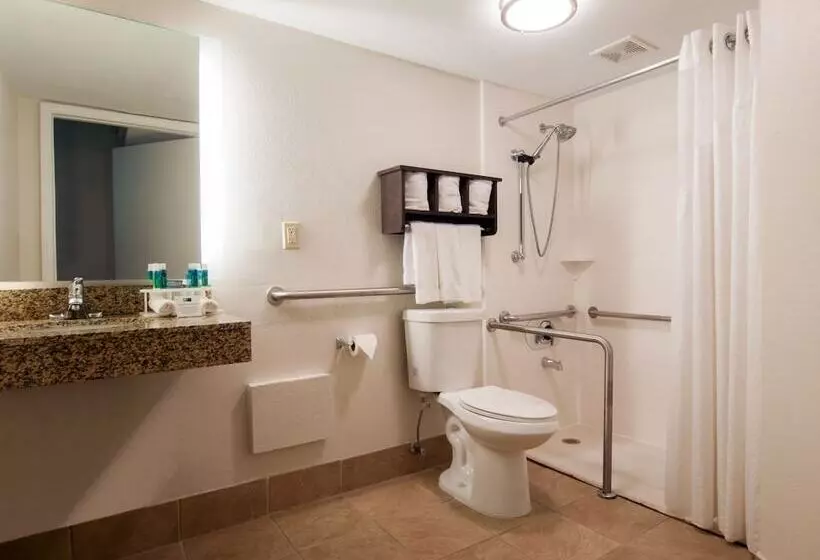 ホテル Holiday Inn Express & Suites Nashville I 40 & I 24, An Ihg