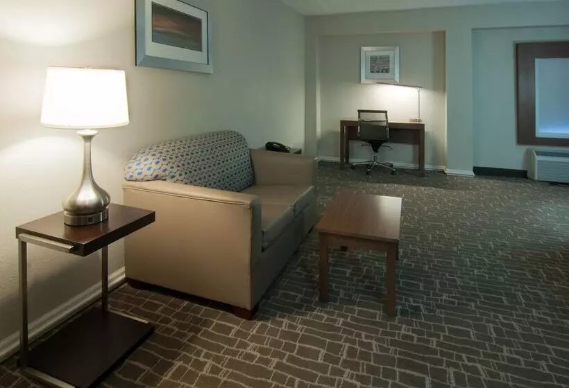 ホテル Holiday Inn Express & Suites Nashville I 40 & I 24, An Ihg