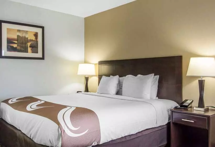 Отель Quality Inn Downtown Historic District