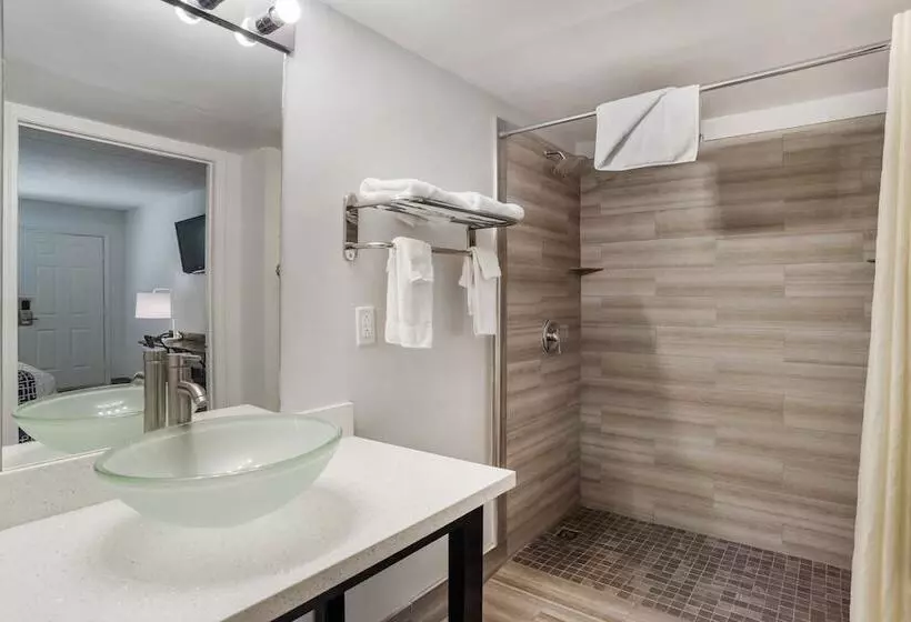 ホテル Super 8 By Wyndham Daleville Fort Novosel