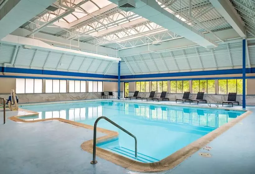 ホテル The English Inn Of Charlottesville