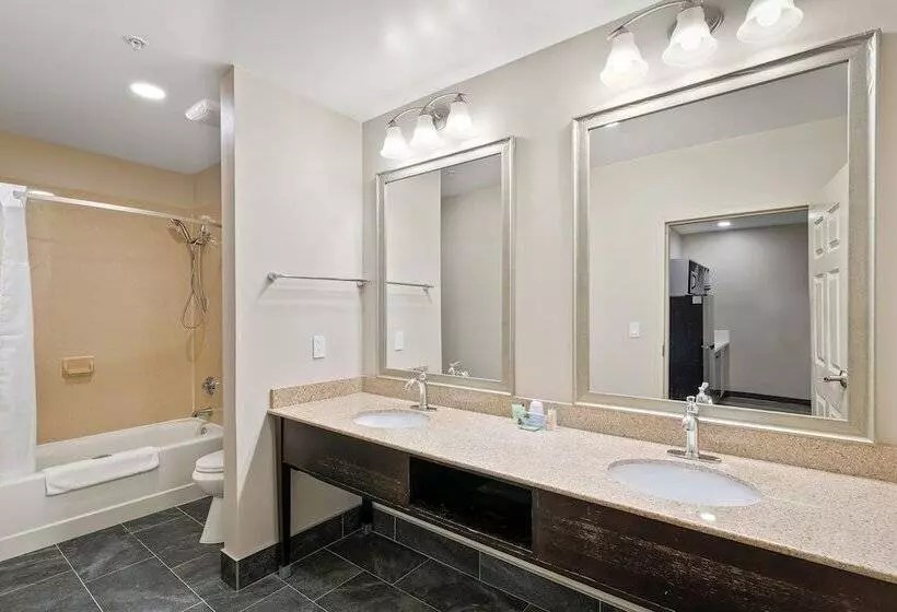 ホテル The English Inn Of Charlottesville