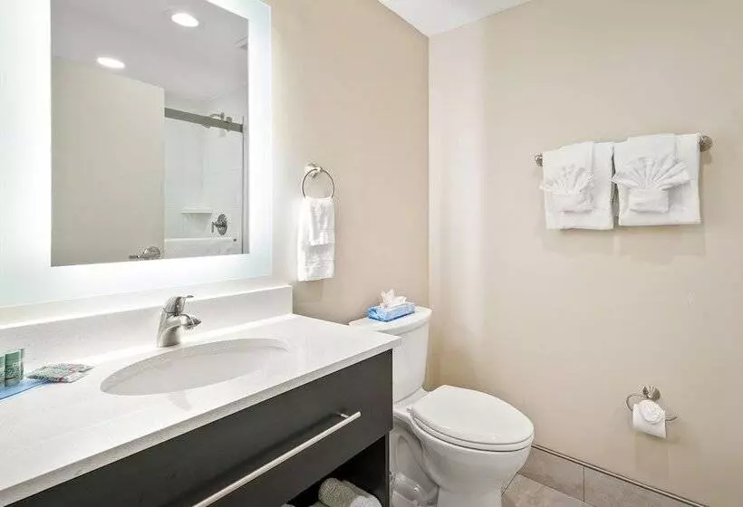 ホテル The English Inn Of Charlottesville