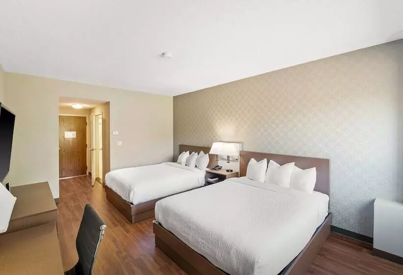 ホテル The English Inn Of Charlottesville