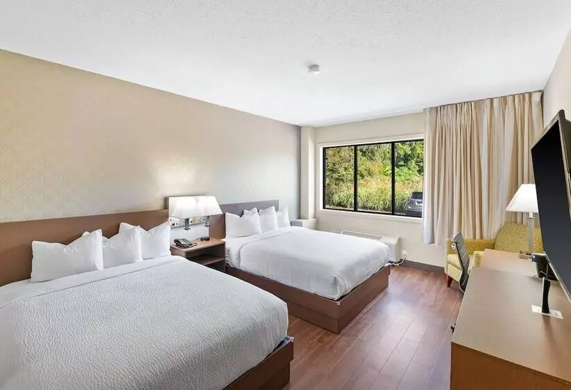 ホテル The English Inn Of Charlottesville