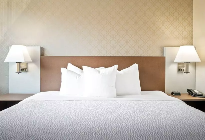 ホテル The English Inn Of Charlottesville