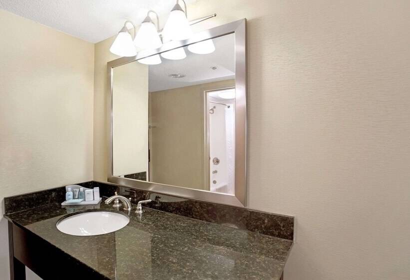 בית מלון כפרי Wyndham Garden Duluth