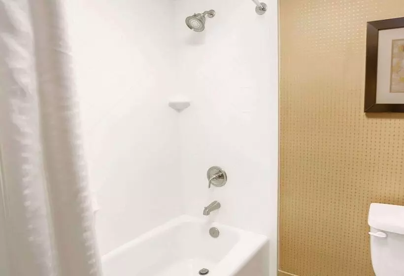 فندق Wyndham Garden Duluth