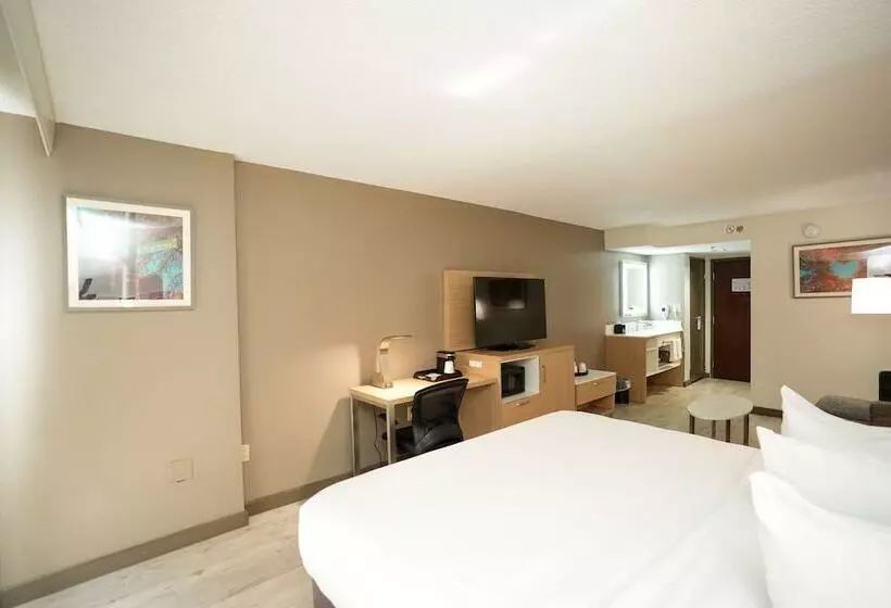 فندق Wyndham Garden Duluth