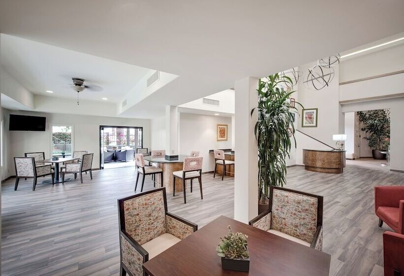 Palm Mountain Resort & Spa