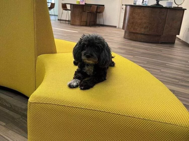 Palm Mountain Resort & Spa