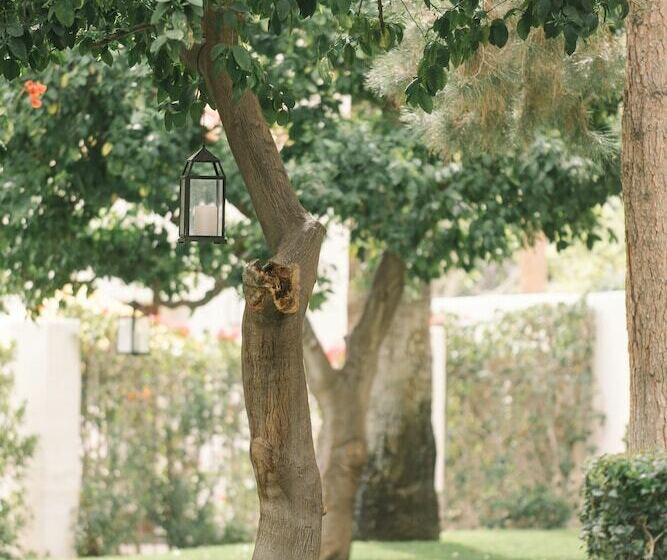 Palm Mountain Resort & Spa