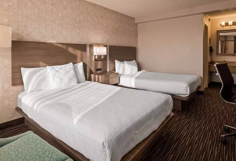 酒店 Best Western Mill River Manor