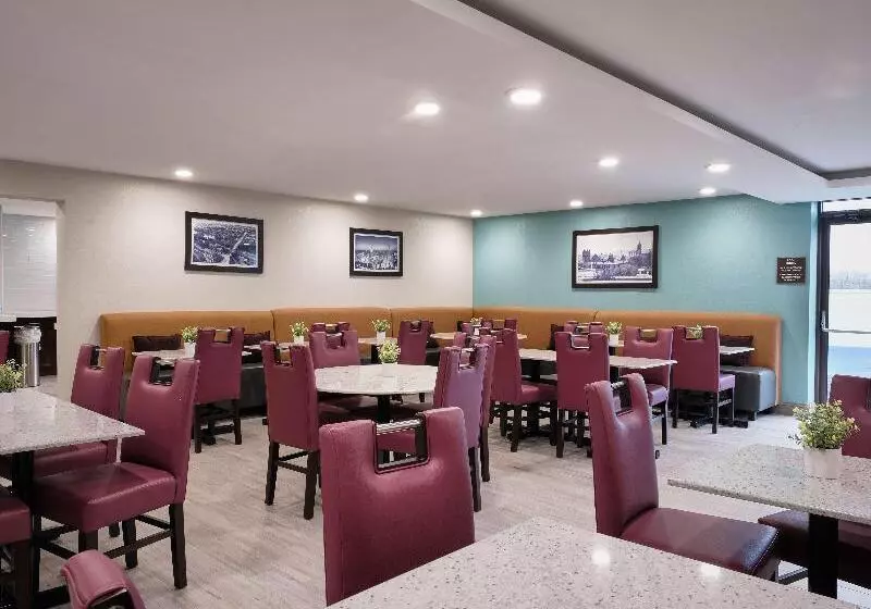 酒店 Comfort Inn & Suites