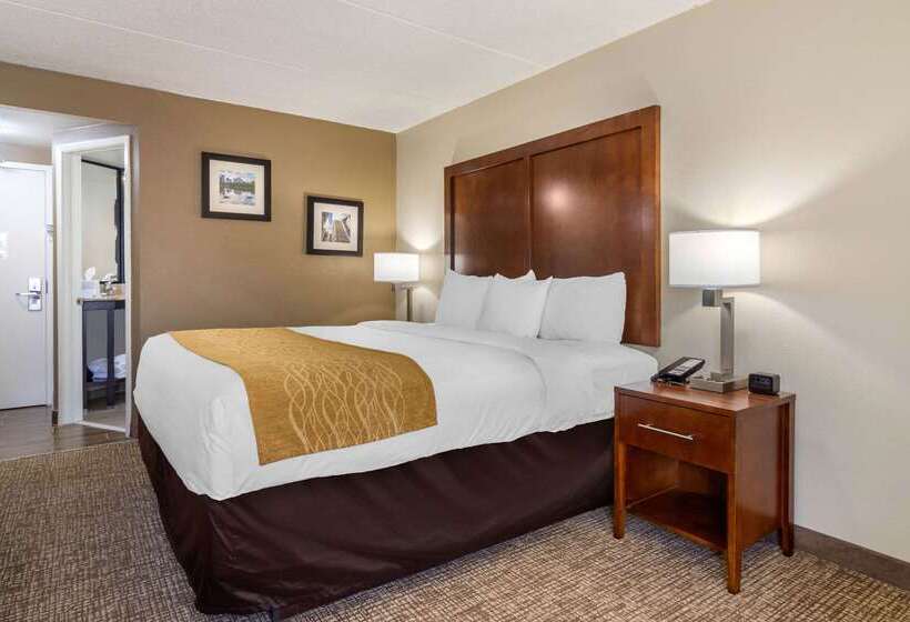 בית מלון כפרי Comfort Inn Atlanta Airport