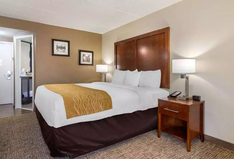 Отель Comfort Inn Atlanta Airport