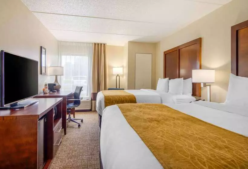 Отель Comfort Inn Atlanta Airport