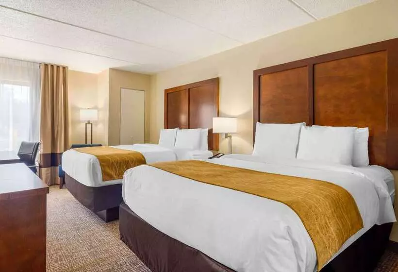 Отель Comfort Inn Atlanta Airport