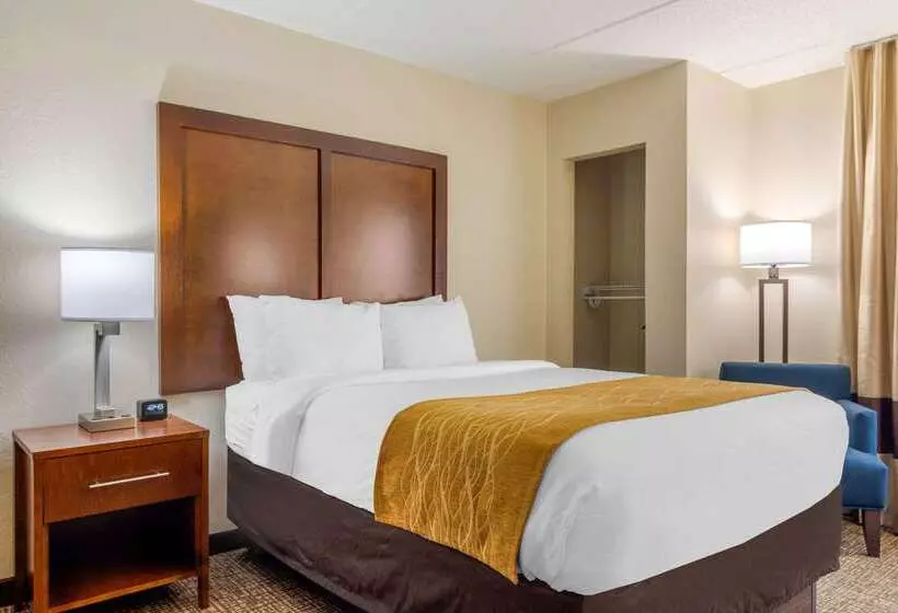 Отель Comfort Inn Atlanta Airport
