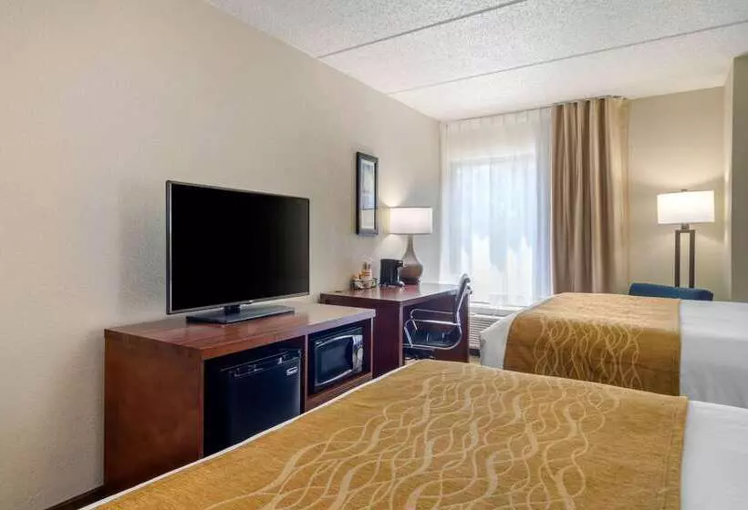 Отель Comfort Inn Atlanta Airport