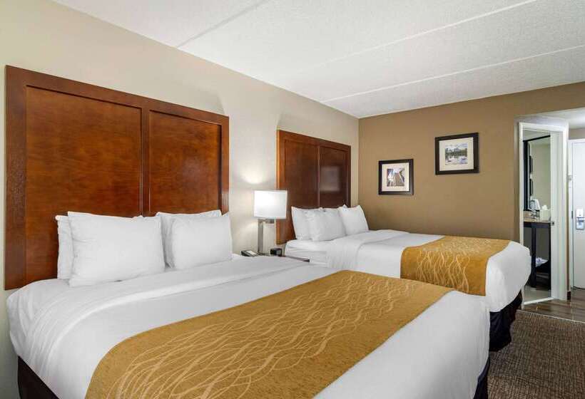 בית מלון כפרי Comfort Inn Atlanta Airport