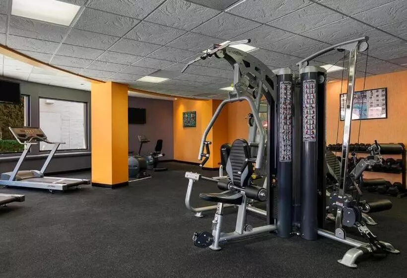 Gold Coast Hotel And Casino