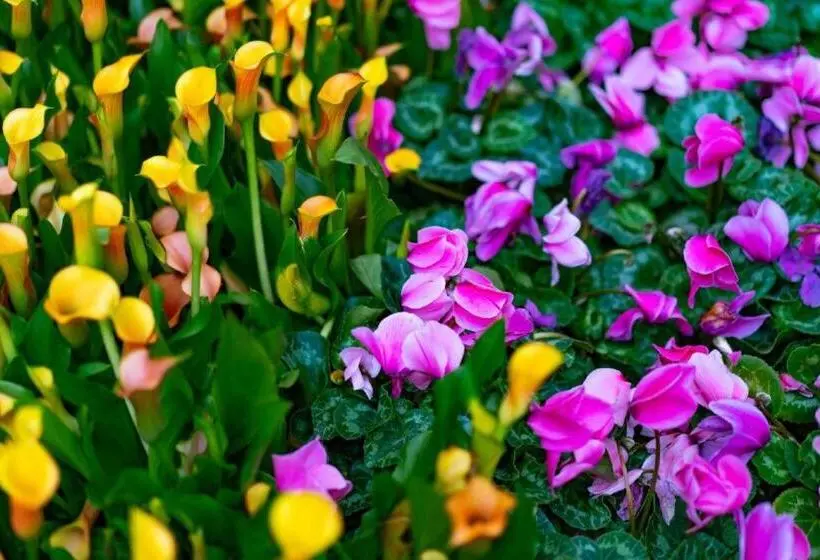 Gold Coast Hotel And Casino