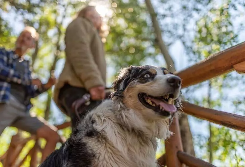 בית מלון כפרי Grand Lake Lodge