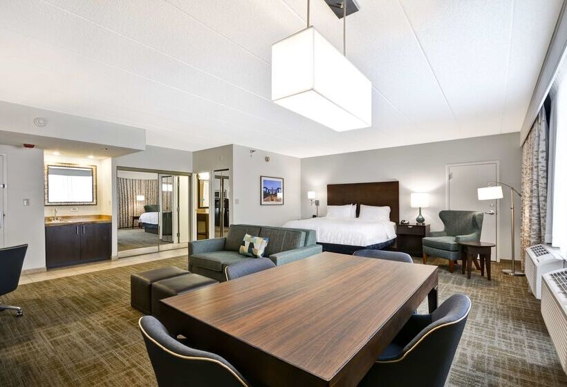 ホテル Hampton Inn Chicago/naperville