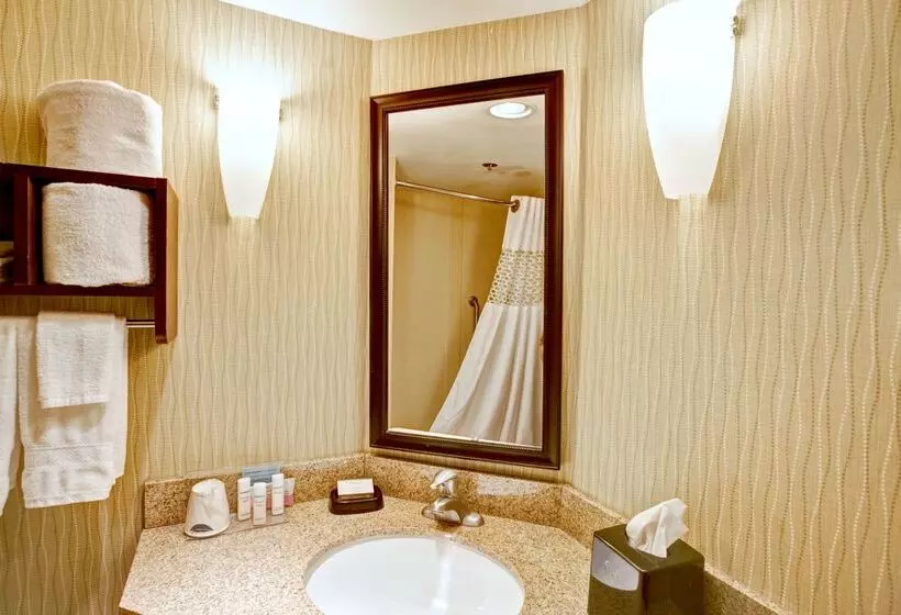 فندق Hampton Inn College Station