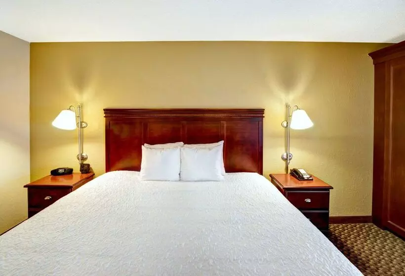 فندق Hampton Inn College Station