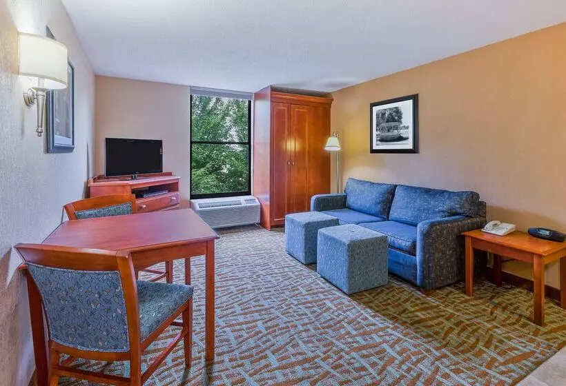 فندق Hampton Inn Hendersonville
