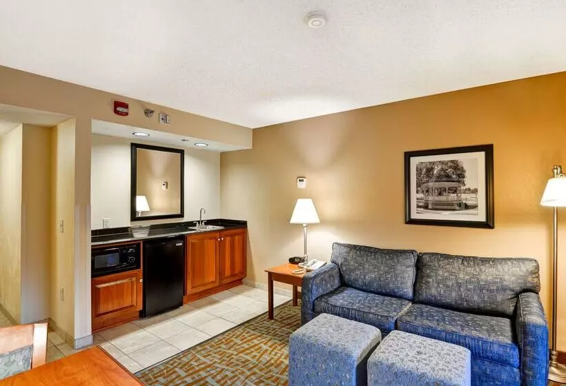فندق Hampton Inn Hendersonville