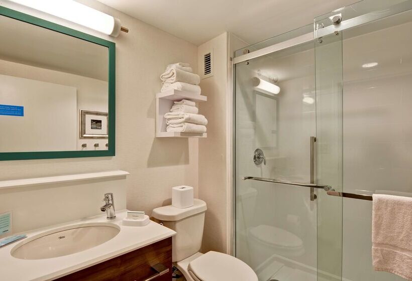 فندق Hampton Inn Memphis Poplar