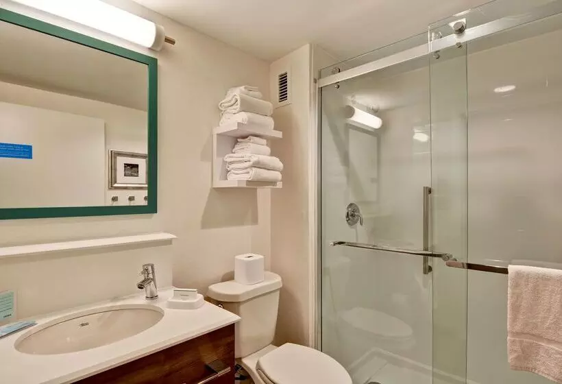 Отель Hampton Inn Memphis Poplar