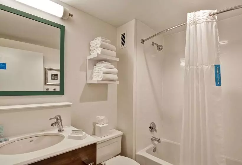 Отель Hampton Inn Memphis Poplar