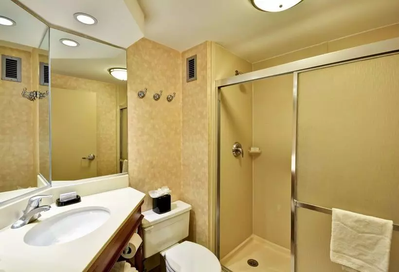 Отель Hampton Inn Memphis Poplar