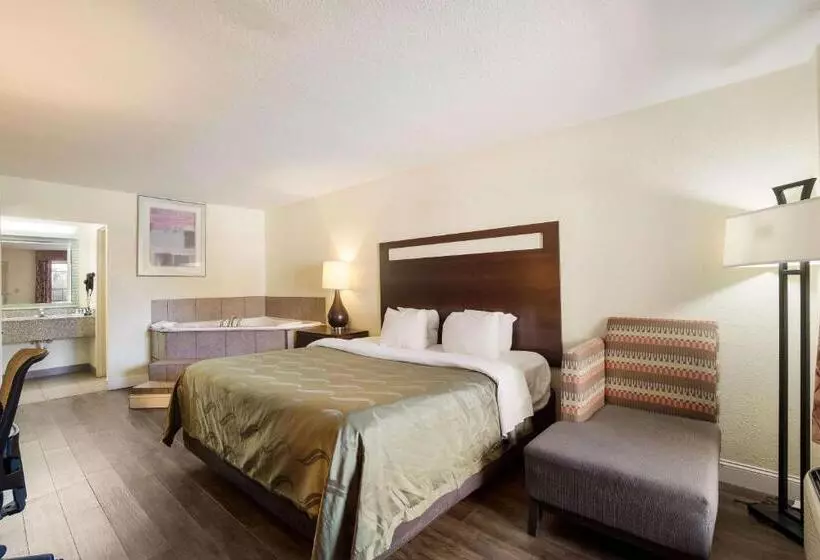 Hotel Quality Inn & Suites Conference Center Statesboro Historic District