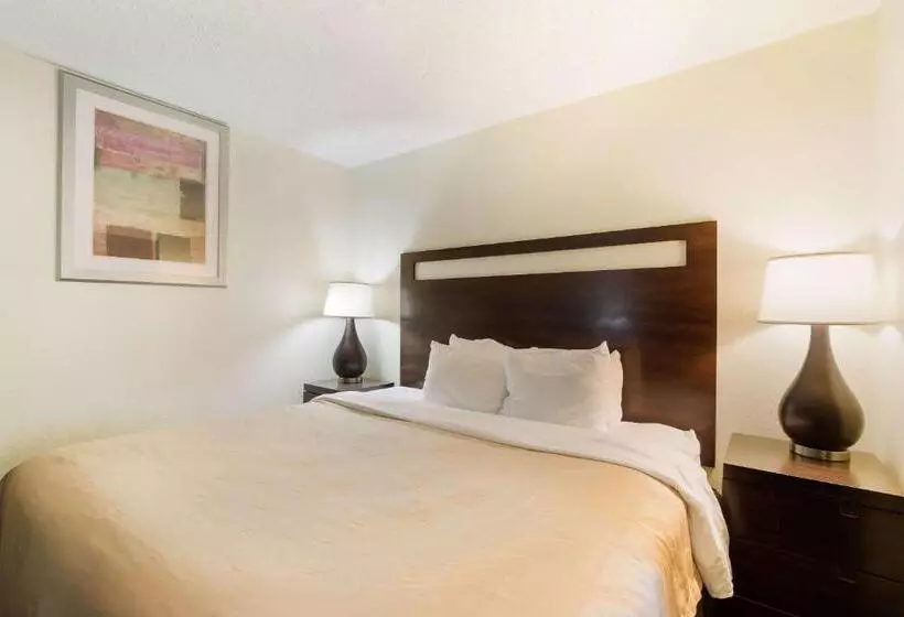 Hotel Quality Inn & Suites Conference Center Statesboro Historic District