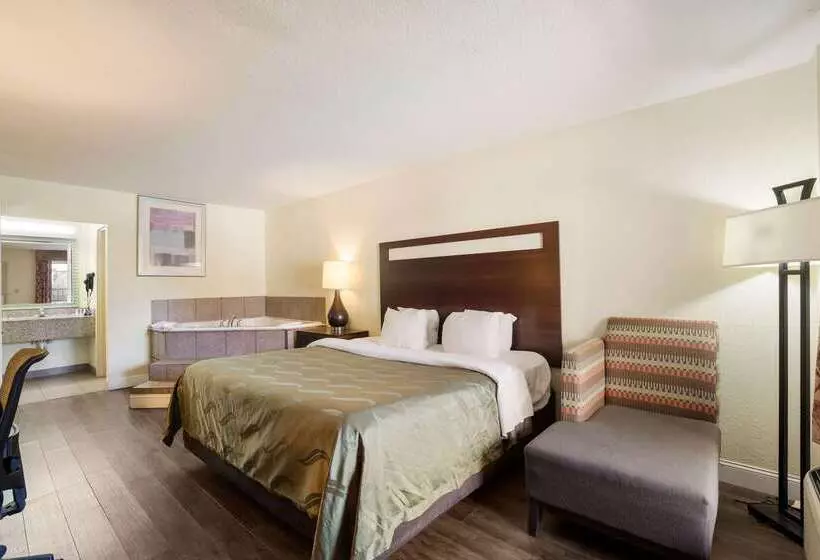 Hotel Quality Inn & Suites Conference Center Statesboro Historic District