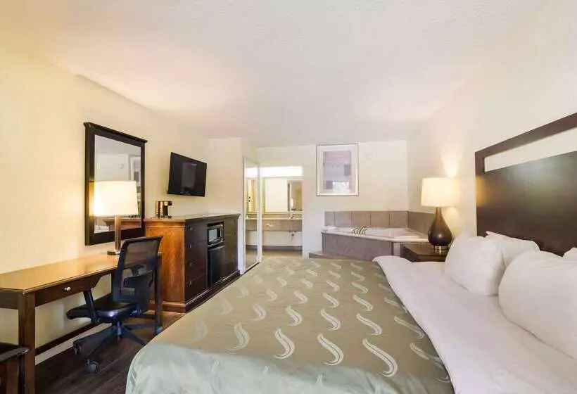 Hotel Quality Inn & Suites Conference Center Statesboro Historic District