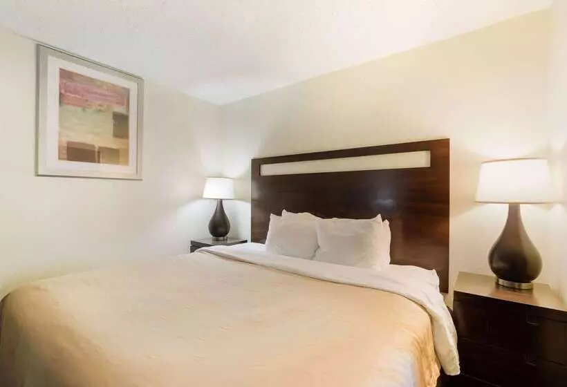 Hotel Quality Inn & Suites Conference Center Statesboro Historic District