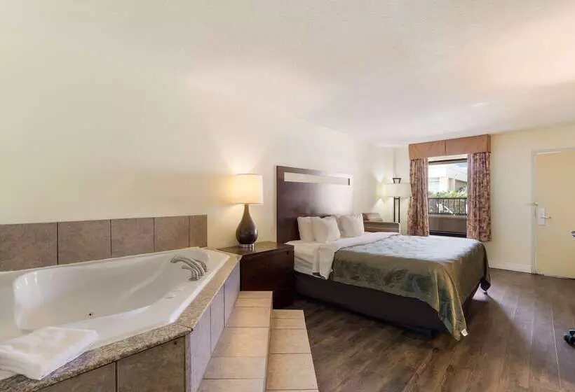 Hotel Quality Inn & Suites Conference Center Statesboro Historic District