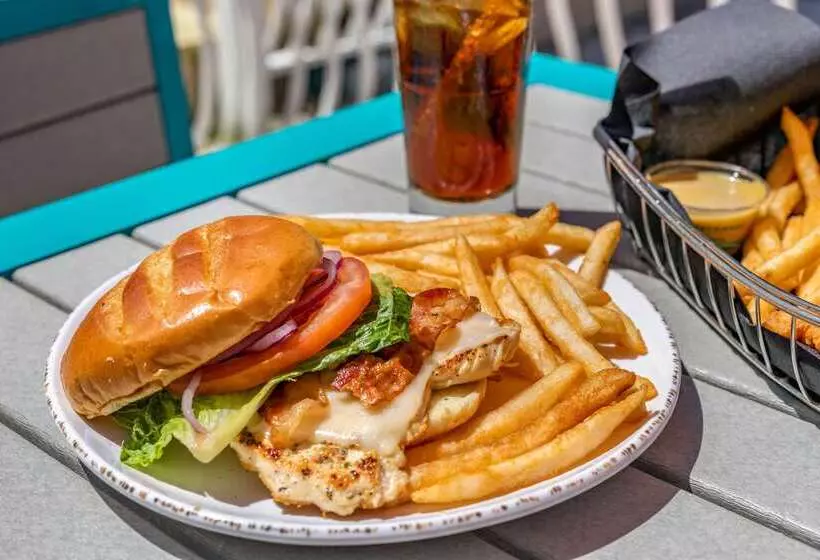 Winter The Dolphin S Beach Club, Ascend Hotel Collection