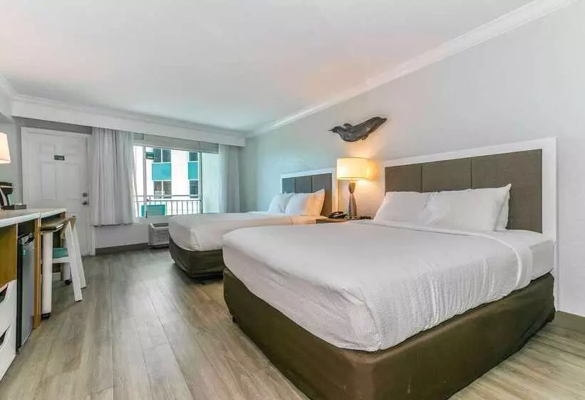 Winter The Dolphin S Beach Club, Ascend Hotel Collection