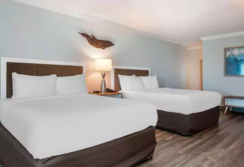 Winter The Dolphin S Beach Club, Ascend Hotel Collection