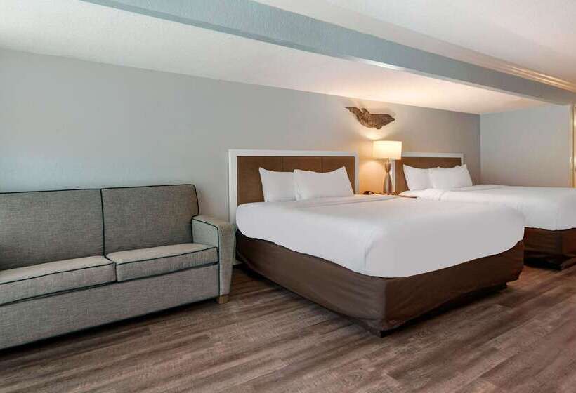 Winter The Dolphin S Beach Club, Ascend Hotel Collection