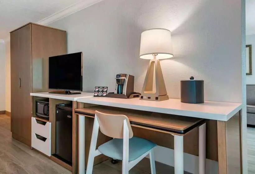 Winter The Dolphin S Beach Club, Ascend Hotel Collection