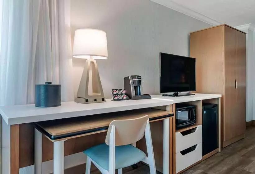 Winter The Dolphin S Beach Club, Ascend Hotel Collection